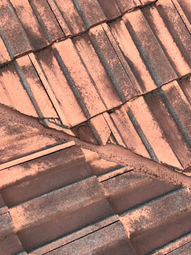 All Roofing Restoration Company Brisbane 34 Medium